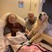 Alison Quinlan - Facebook