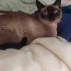 Allison Redington - @allison.redington - TikTok
