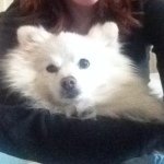 Allison Rizzo - @lordmaximusthefluffy - Instagram