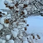 Allison Robbins Nordhoff - @allisonnordhoff - Instagram