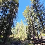 Allison Rollins - @pixie37027 - Instagram