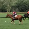 Ryder - @ryder.allison - TikTok