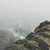 Alison Shaffer - @alisonshaffer934 - TikTok