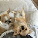 Allison sharpe - @allisonsharpe282 - Instagram