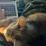 Allison Snavely - @al_write_now - Instagram