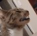 Allison Snavely - Facebook