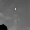 allisonsoler981 - @allisonsoler981 - TikTok