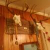 allisonspivey725 - @tydillion - TikTok
