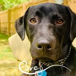 @alli.sonstitt - Instagram