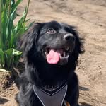 Nori Allison-Stitt - @the_story_of_nori - Instagram