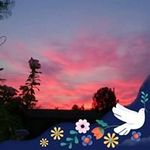 Allison Sutton - @allison.sutton.161 - Instagram