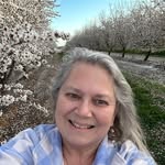 Allison Vergara Sutton - @lunch.on.my.hill - Instagram