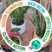 Allison Tait - Facebook
