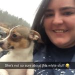 Allison Tanner - @allieet08 - Instagram