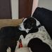 Alison Thorpe - Facebook