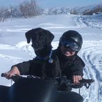 Allison Thorpe - @allison.thorpe.7 - Instagram