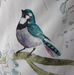 Allison Tonkin - Facebook