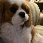 Allyson Topping - Facebook