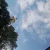 🤍🤍 - @allisonurbanosala - TikTok
