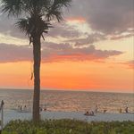 Allison Vaughan - @allison.v12 - Instagram