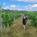 Allison Vaughan - @allisinwanderland - Instagram