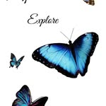 Allison Vincent - @exploreyourmindandsoul - Instagram