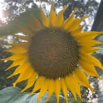 Allison Waldron - @alli_m_w_ - Instagram