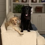 Allison Blackburn Ware - Facebook
