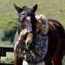 Allison West - Facebook