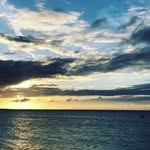 Allison Widener - @allisonw0810 - Instagram