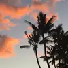 allyw0610 - @allison.widener - TikTok
