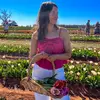 Alison Wiley - @alison.wiley_ - TikTok