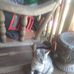 Allison Wiley - Facebook