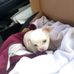 Allison Wiley - Facebook