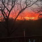 Allison Wolfe - Facebook