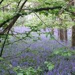 Allison Wright - @allisonwrightphotography - Instagram