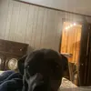 Ally Bryan - @ally.bryan21 - TikTok