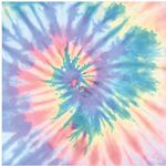 Ally Bush and Alina Eckert - @tiedye_gals - Instagram
