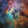 Ally_Castro - @Ally_Castro - TikTok