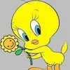 Ally Castro - @allycastro0 - TikTok
