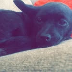@allychavez.backup - Instagram