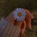 Ally Dawson - Facebook
