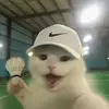 Eric - @myallyguy - TikTok