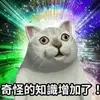 ：） - @allyhuang97 - TikTok