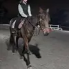 allyhyde123 - @allyhyde123 - TikTok