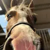 allyhyde2500 - @allyhyde2500 - TikTok