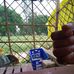 MD Kadeer Ali - Facebook