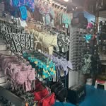 Ally - @ally.saunders45 - Instagram