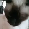 allyscott53 - @allyscott5392 - TikTok