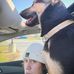 Ally Shipley - Facebook